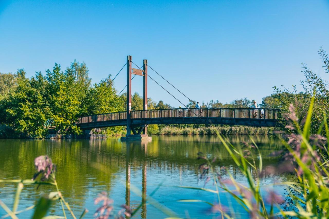 Zilverstrand Mol Kültér fotó