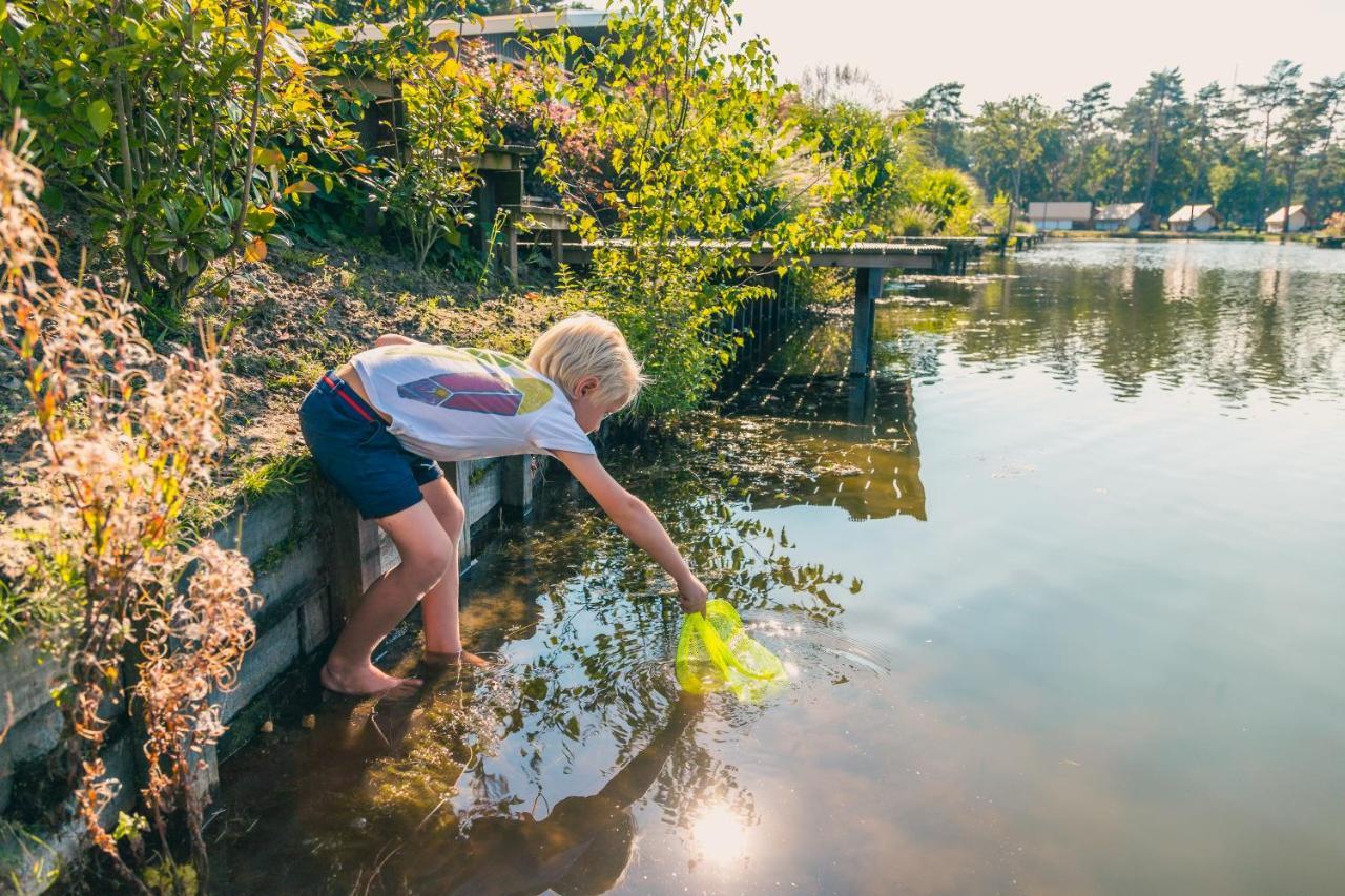 Zilverstrand Mol Kültér fotó